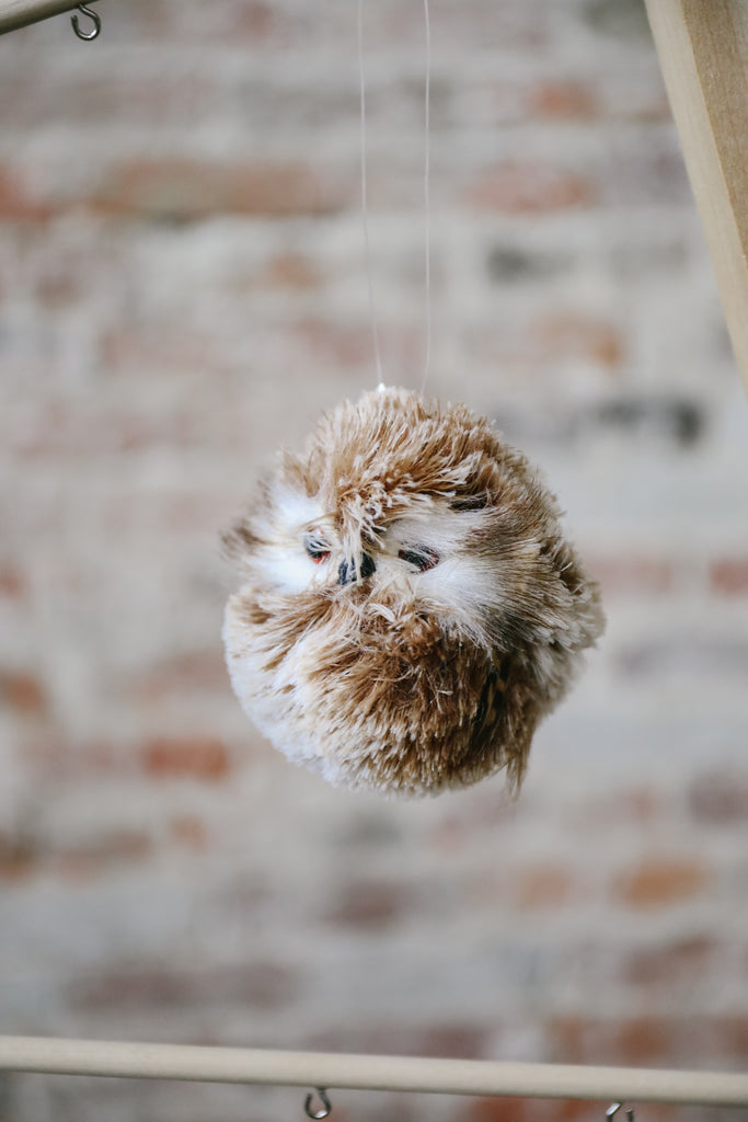 Fury Owl Ornament
